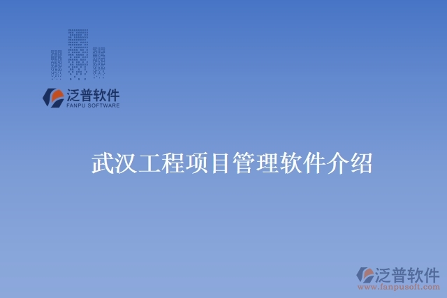 武漢工程項目管理軟件介紹