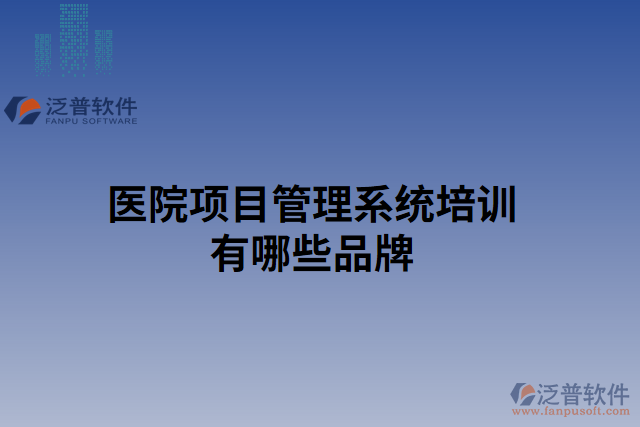 醫(yī)院項(xiàng)目管理系統(tǒng)培訓(xùn)有哪些品牌