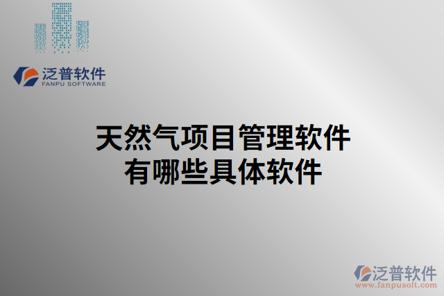 天然氣項目管理軟件有哪些具體軟件