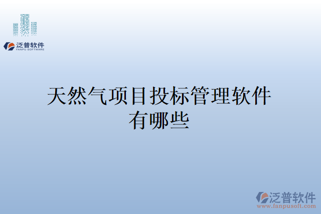 天然氣項目投標(biāo)管理軟件有哪些