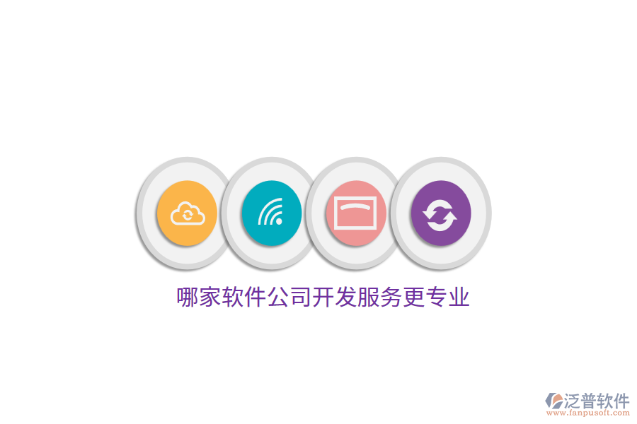 哪家軟件公司開(kāi)發(fā)服務(wù)更專業(yè)