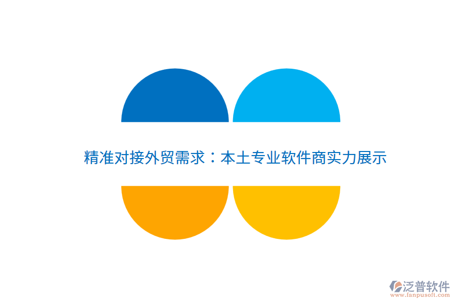 精準(zhǔn)對接外貿(mào)需求：本土專業(yè)軟件商實(shí)力展示