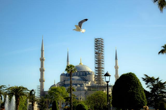 園林項目繪圖愁人？這款園林工程制圖代畫軟件能替代人工嗎？