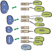 擔保業(yè)務管理系統(tǒng)ThinkOne