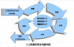 人力資源管理系統(tǒng)有哪些產(chǎn)品？