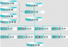 財務(wù)軟件網(wǎng)絡(luò)版哪個好？