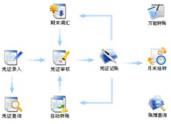 財(cái)務(wù)軟件是否有網(wǎng)絡(luò)版的？
