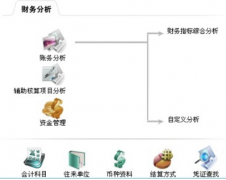 財(cái)務(wù)軟件免費(fèi)版的優(yōu)缺點(diǎn)有哪些？