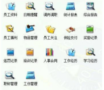 怎么選用人力資源管理軟件 ？