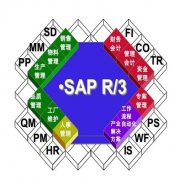 SAP是不是屬于財(cái)務(wù)軟件類？