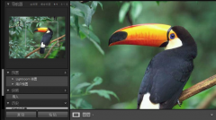 照片管理軟件產品體系結構