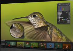 照片管理軟件的一些特點