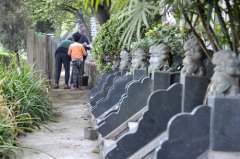 清明前首個(gè)小高峰 約1000萬人去祭掃，大堵車不可避免